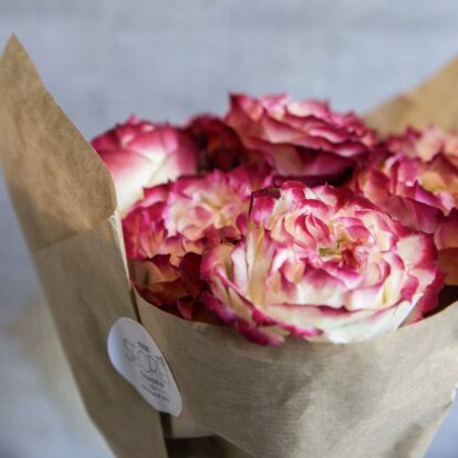 Rose Bouquet Applejack