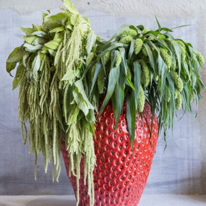 Strawberry Vase Red Xlarge