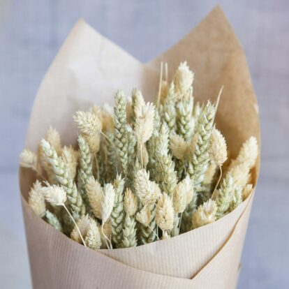Bouquet of Lagurus & Wheat